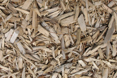 biomass boilers Penygelli